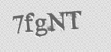 CAPTCHA code