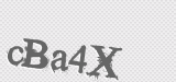 CAPTCHA code