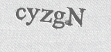CAPTCHA code