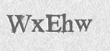 CAPTCHA code