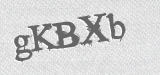CAPTCHA code