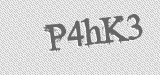 CAPTCHA code