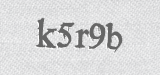 CAPTCHA code