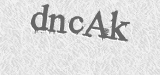 CAPTCHA code
