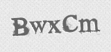 CAPTCHA code