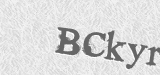 CAPTCHA code