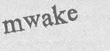 CAPTCHA code