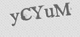 CAPTCHA code