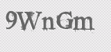 CAPTCHA code