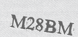 CAPTCHA code