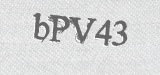 CAPTCHA code