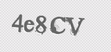 CAPTCHA code