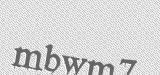 CAPTCHA code
