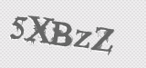CAPTCHA code