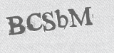 CAPTCHA code