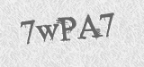 CAPTCHA code