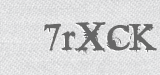 CAPTCHA code