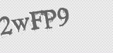 CAPTCHA code