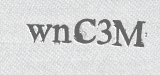 CAPTCHA code