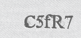 CAPTCHA code