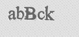 CAPTCHA code