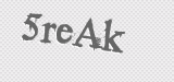 CAPTCHA code