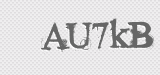 CAPTCHA code