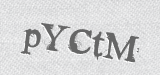 CAPTCHA code