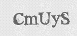 CAPTCHA code