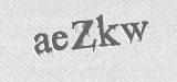 CAPTCHA code