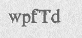 CAPTCHA code