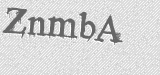 CAPTCHA code