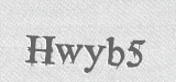 CAPTCHA code