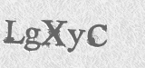 CAPTCHA code