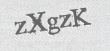 CAPTCHA code