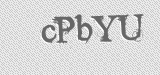 CAPTCHA code