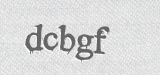 CAPTCHA code