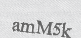 CAPTCHA code