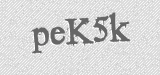 CAPTCHA code