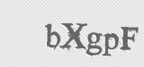 CAPTCHA code