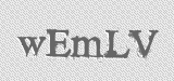 CAPTCHA code