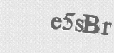 CAPTCHA code