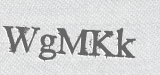 CAPTCHA code
