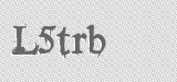 CAPTCHA code