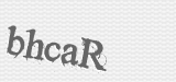 CAPTCHA code