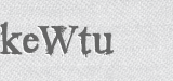 CAPTCHA code