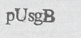 CAPTCHA code