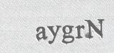 CAPTCHA code