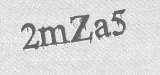 CAPTCHA code
