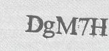 CAPTCHA code